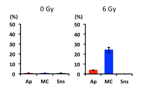 Apoptosis analysis chart comparing 0 Gy and 6 Gy radiation effects; bar graph of Ap, MC, Sns results.
