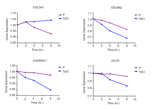 Gene expression over time graphs for COL3A1, OSGIN2, CHORDC1, HCCS in cell culture analysis.