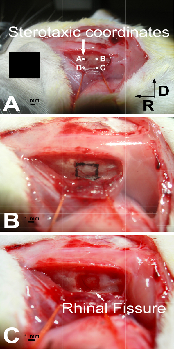 figure-results-1