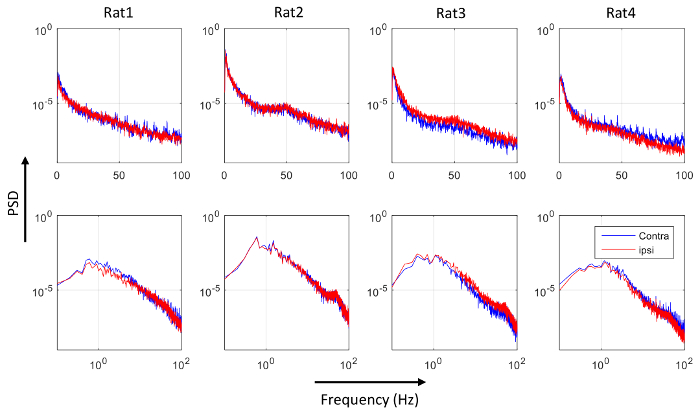 figure-results-4 Power spectral density graphs; frequency analysis of neurological signals for four rats.