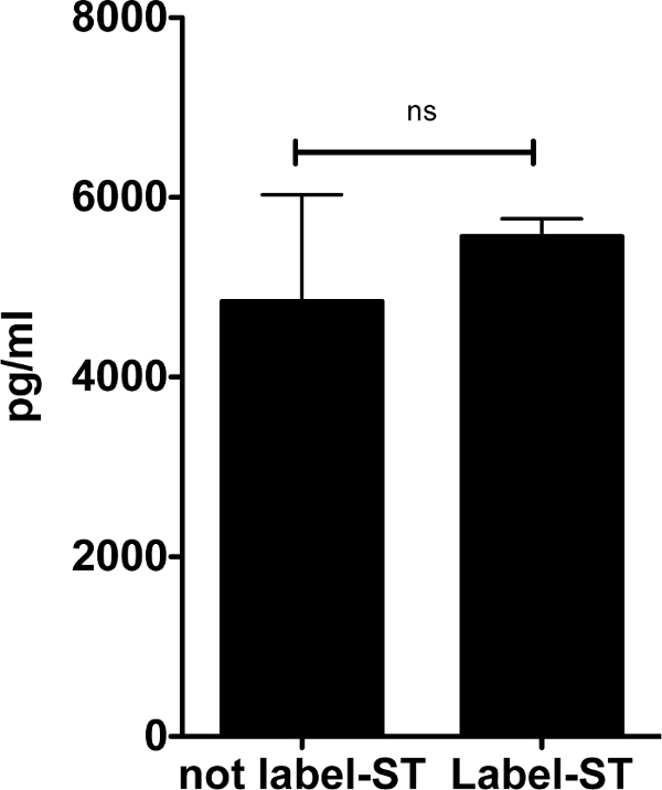 figure-results-3 Bar chart comparing cytokine levels in pg/ml; statistical significance not observed ("ns").
