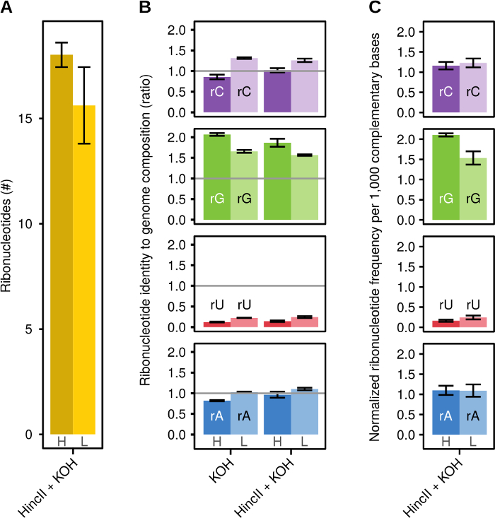 Bar graphs comparing ribonucleotide composition and frequency in genomic DNA, showing rC, rG, rU, rA.