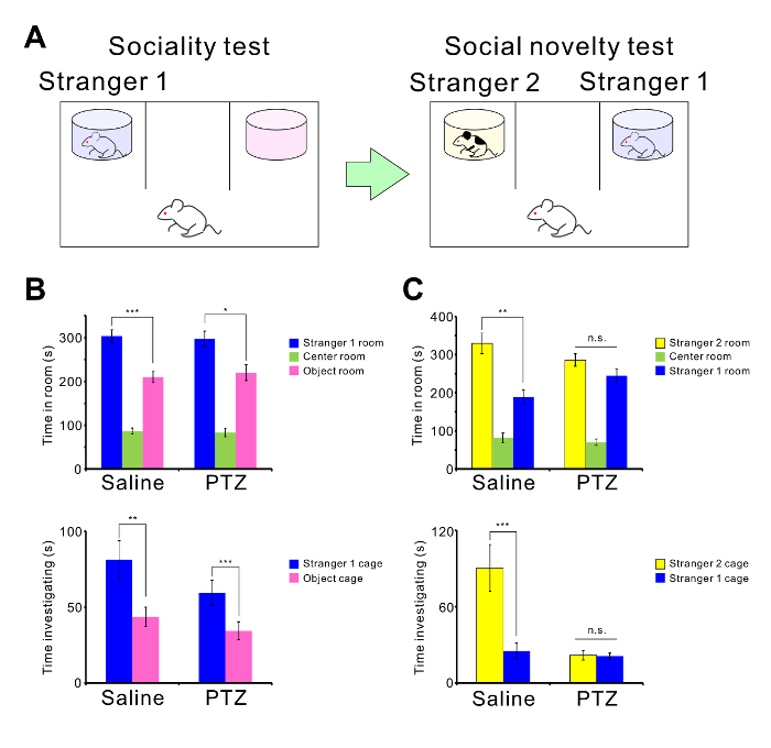 Mouse social behavior test; bar graphs; time spent; social choice; saline vs PTZ; results comparison.