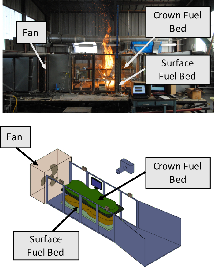 figure-introduction-2 Wildfire spread experiment, combustion setup; fan, crown, surface fuel beds; diagram and photo analysis.