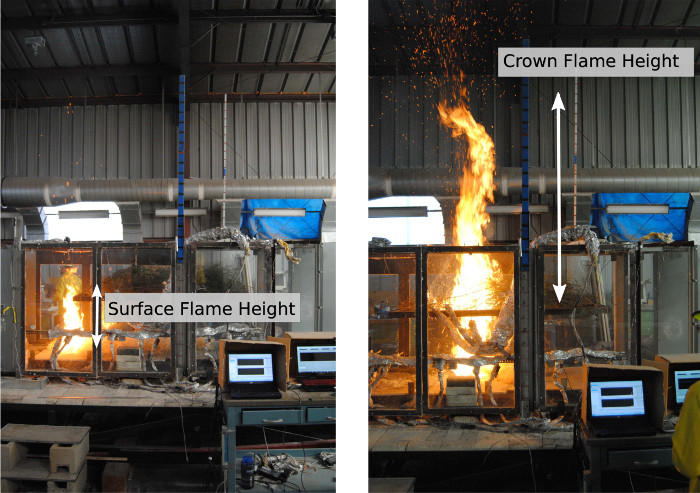 figure-protocol-6 Fire dynamics experiment; diagrams showing surface and crown flame height measurements.