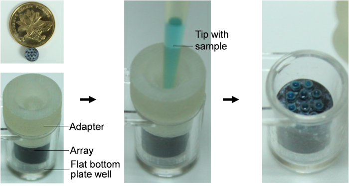figure-protocol-2