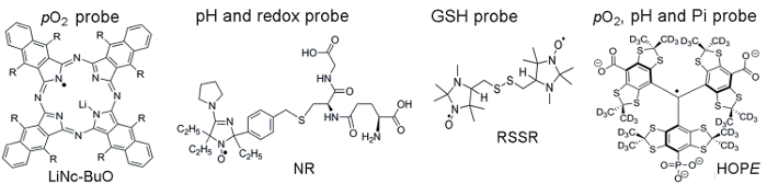Probes structure diagram for pO2, pH, redox, GSH; molecular formulas for chemical analysis.