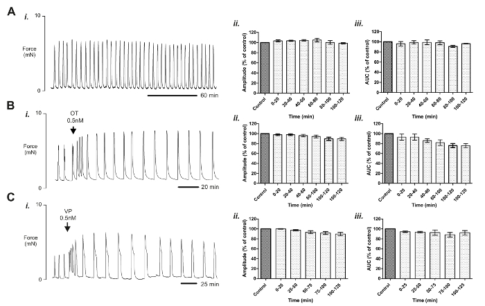 figure-results-3 Oxytocin and vasopressin effect on contractile force; graph data analysis of amplitude and AUC.