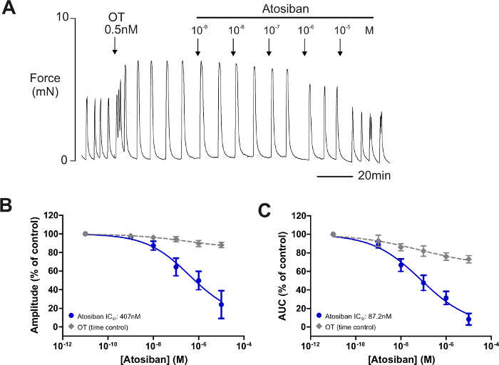 figure-results-5 Oxytocin antagonist atosiban effects on mouse uterus contractions; force graph; inhibition curve.
