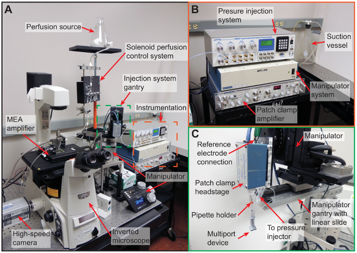 figure-protocol-2 Perfusion and patch clamp system diagram; includes inverted microscope, amplifier, injection setup.