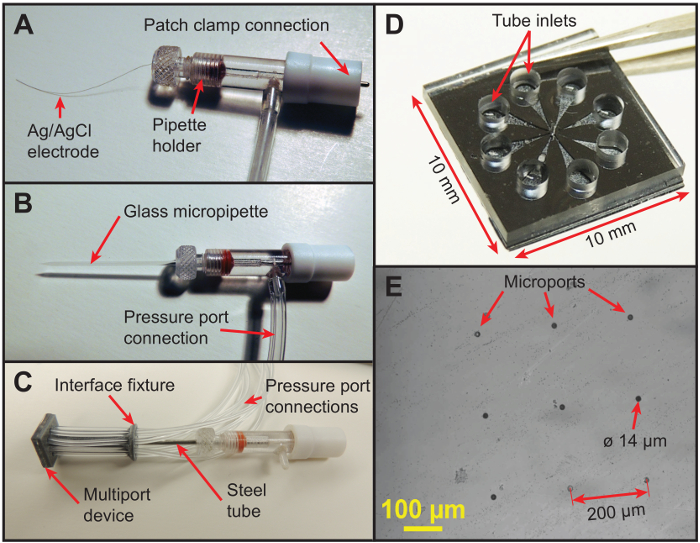 figure-protocol-7 Patch clamp setup with Ag/AgCl electrode, micropipette, multiport interface; microports diagram.