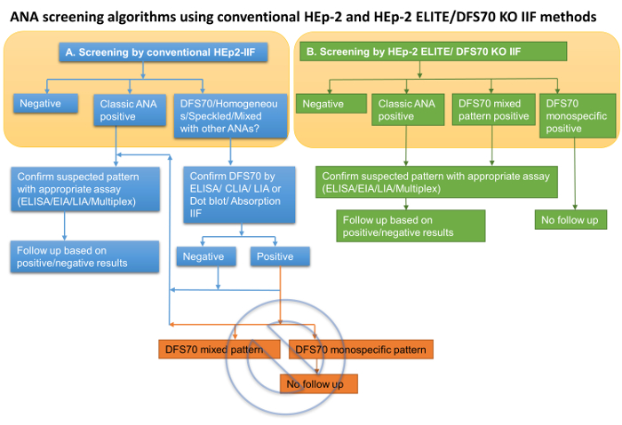 figure-results-1 ANA screening algorithms diagram using HEp-2, DFS70 IIF methods; ELISA, EIA for diagnostics.