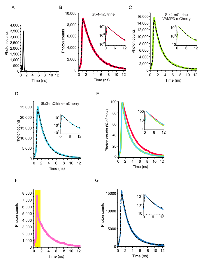 figure-results-4 Photon counts vs. time graphs, decay analysis, fluorescence lifetime measurement, spectroscopic results.