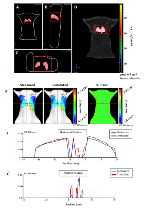 Optical tomography diagram; photon intensity map, efficiency analysis, measured vs. simulated data.