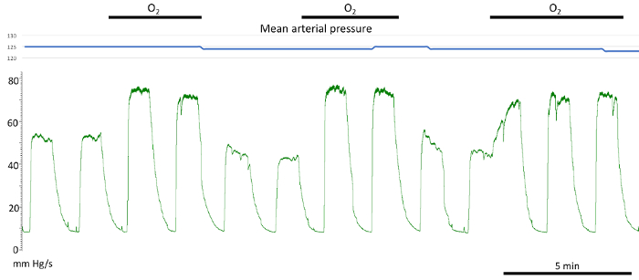 figure-results-17 Mean arterial pressure vs. time graph; O₂ effect on blood pressure; cardiovascular analysis.