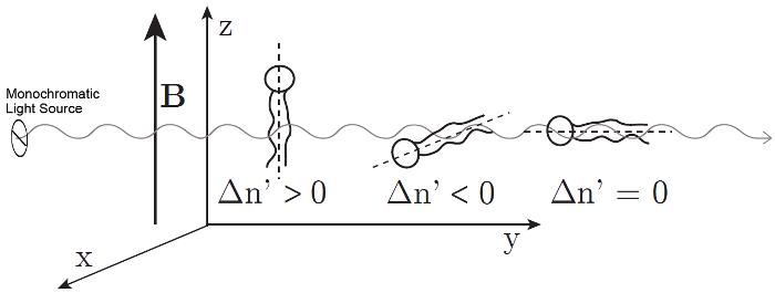figure-introduction-10 figure-introduction-10
