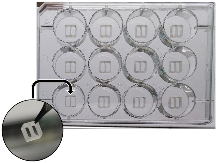 figure-protocol-1 Microfluidic device in 12-well plate, diagram of cell culture experiment, magnified channel detail.