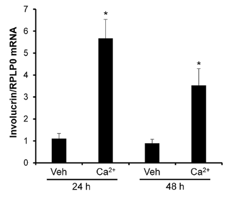 figure-results-2 figure-results-2