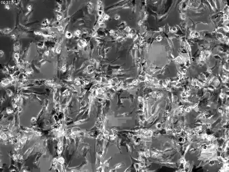 Fabricating Optical-quality Glass Surfaces to Study Macrophage Fusion