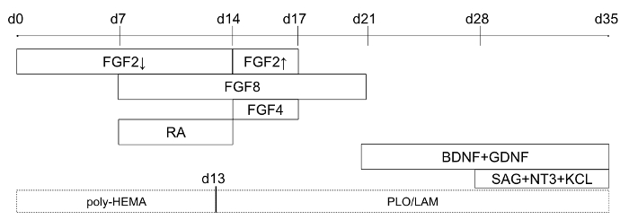 figure-results-1