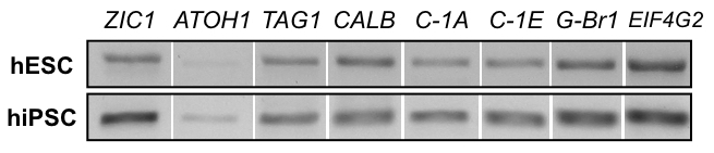 figure-results-8