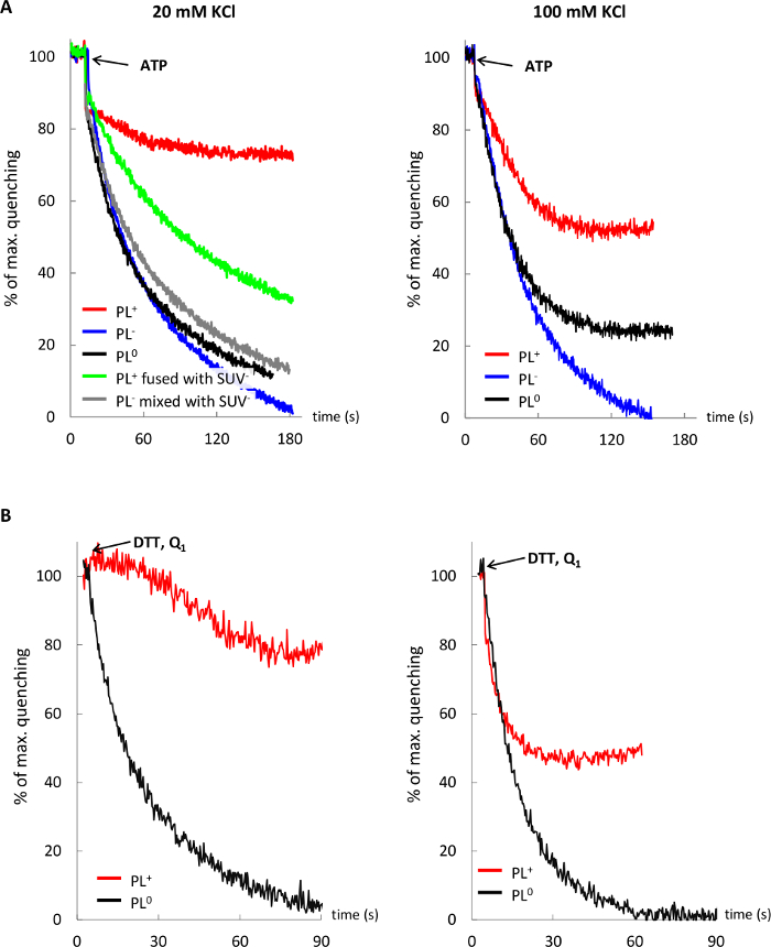 figure-results-5 Lipid quenching kinetics graph, ATP/DTT effects on PL states, transient absorption analysis.