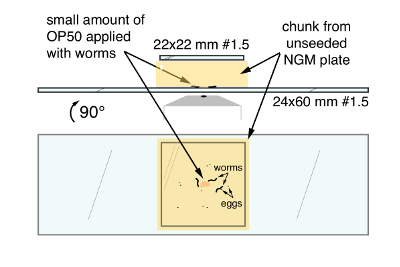 figure-results-1 figure-results-1