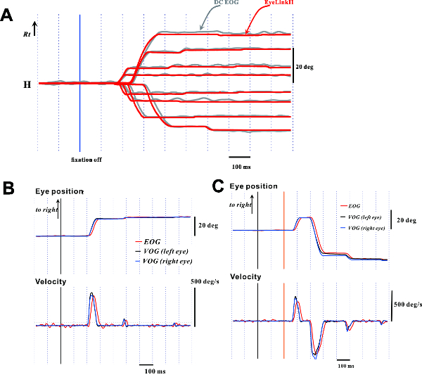 Eye tracking analysis; velocity-position graph; EOG and VOG comparison; fixation data; diagram.