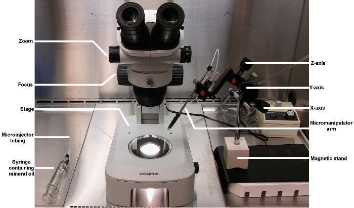 figure-results-1 figure-results-1