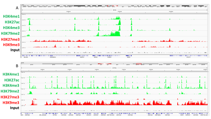 figure-results-4 Chromatin immunoprecipitation (ChIP) sequencing plots showing histone modifications H3K4me1, H3K27ac.