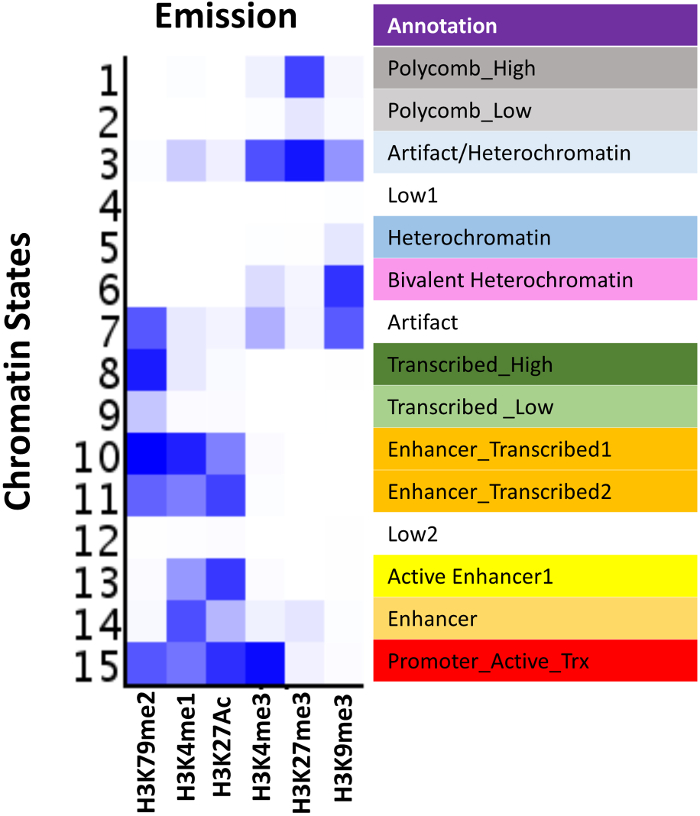 figure-results-5 Chromatin state heatmap, emission analysis, chromatin modification levels, annotated diagram.