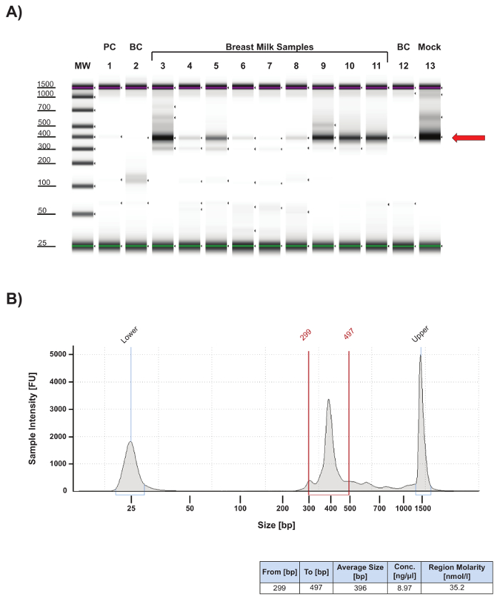 Electrophoresis result; DNA separation in breast milk samples; diagram with intensity vs size graph.