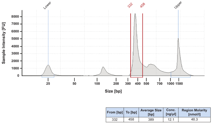 Gel electrophoresis result; DNA fragment size distribution chart; intensity vs. size(bp) analysis.