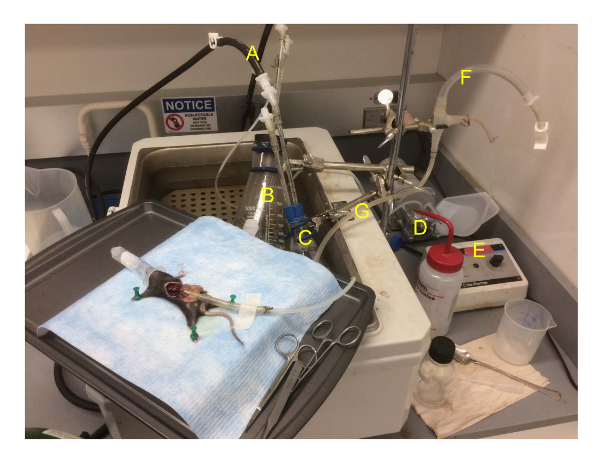 figure-results-2 Static equilibrium experiment with labeled laboratory setup and equipment for educational analysis.