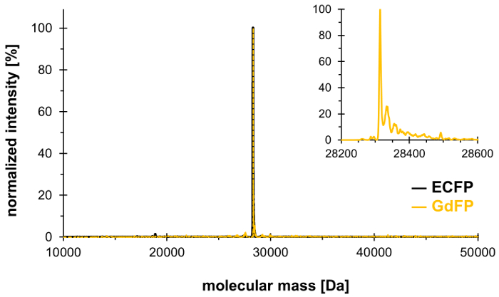 Mass spectrometry graph, ECFP vs GdFP protein intensity vs molecular mass, spectral analysis.