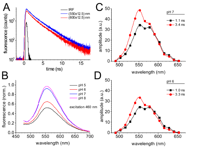 Fluorescence decay kinetics and emission spectra graphs at varying pH, excitation 460 nm analysis.
