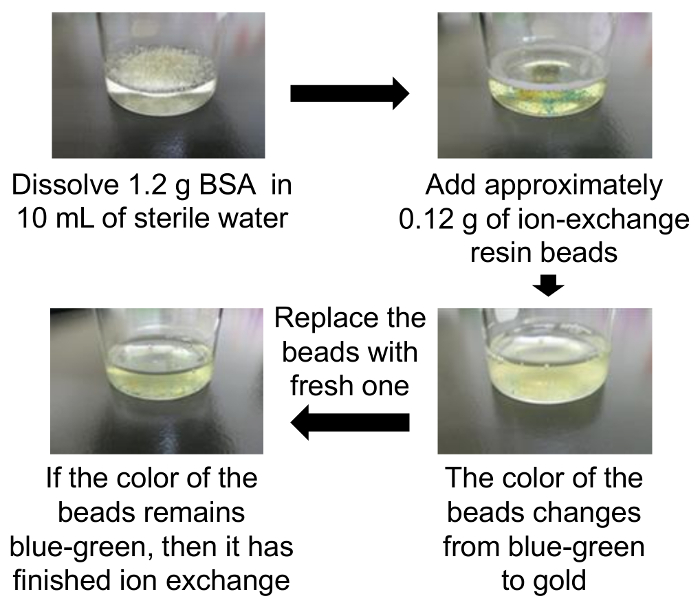 Ion-exchange process diagram; BSA solution and resin change color indicating ion exchange completion.