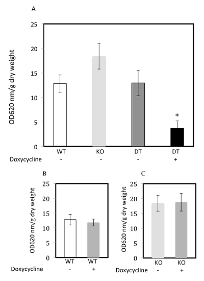 Bar chart of OD620 measurement for WT, KO, DT with/without doxycycline; error bars indicate variation.