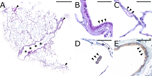 figure-results-2