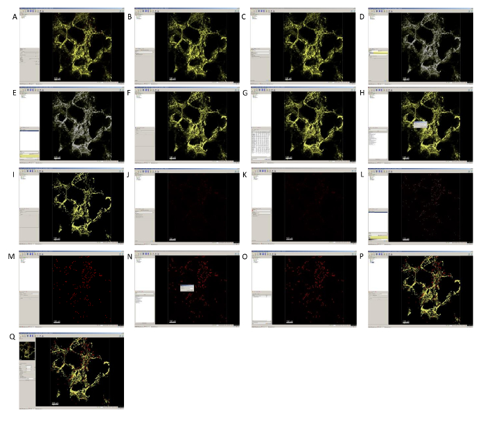 figure-results-7
