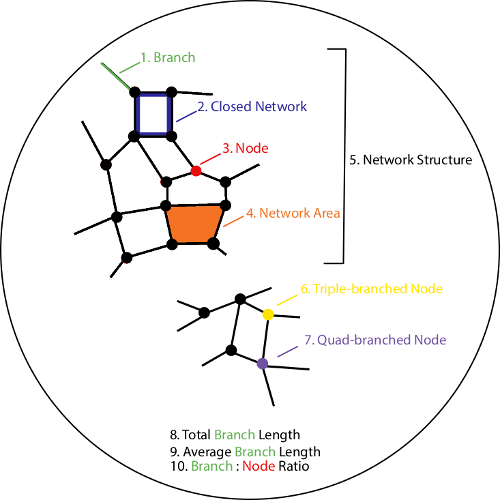 figure-results-1 Diagram of network structure showing branches, nodes, closed networks, and area analysis.