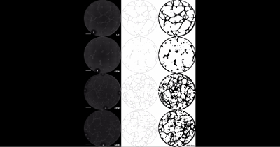 figure-results-5 Microscopy image analysis; neurons diagram; contrast comparison; cellular structure visualization.