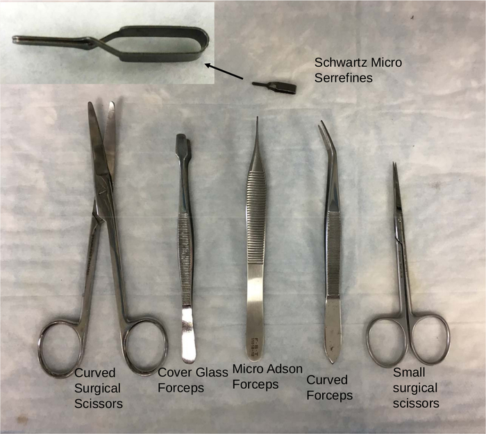 Surgical instruments including scissors and forceps used in medical procedures and experiments.