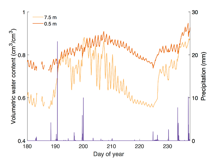 Volumetric water content and precipitation graph; data comparison at depths 7.5m, 0.5m over time.