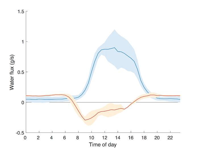 Diurnal water flux variation, g/s vs time, graph with error bands, data analysis, ecological study.