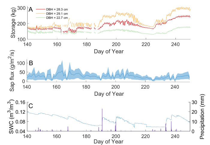 Tree sap flux and storage data charts; includes SWC and precipitation trends over days of the year.