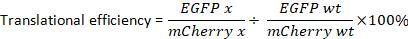 Translational efficiency formula, EGFP to mCherry ratio, equation for comparative protein analysis.