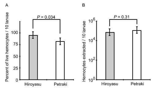 figure-results-6 Bar graph comparing hemocyte percent and extraction count in larvae; P-values indicate significance.