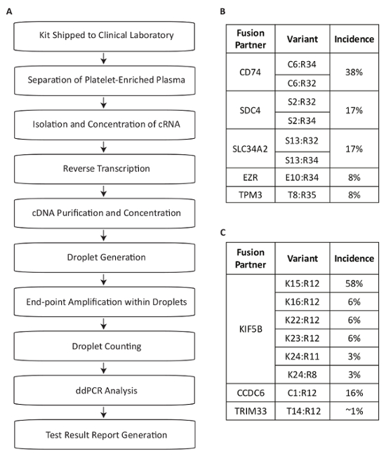 Flowchart of ddPCR; includes cDNA processing, droplet generation, and gene fusion incidence data.