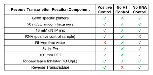 Reverse transcription reaction component table; RNA controls, gene primers, RNase free water.